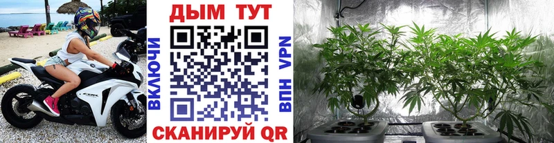 А ПВП Дигора