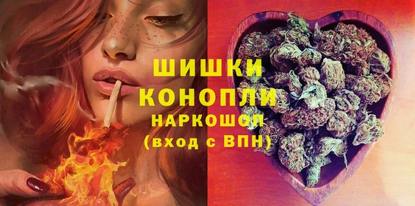 прущие грибы Богородск