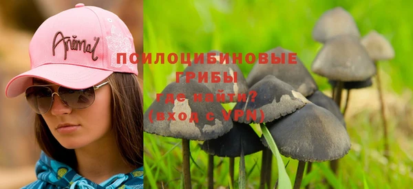 apvp Балабаново