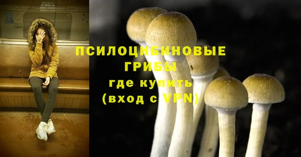 молекула духа Баксан
