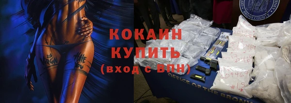 прущие грибы Богородск