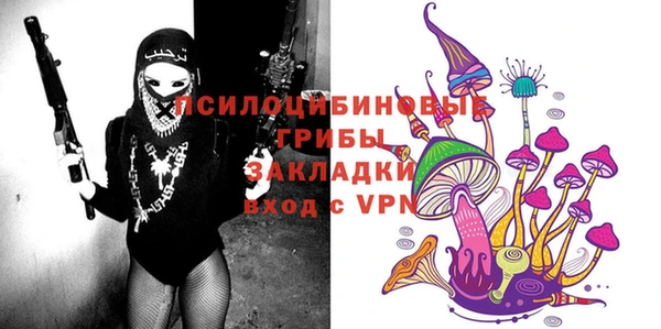 бутират Белокуриха