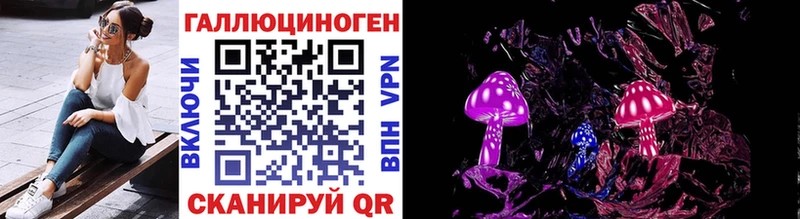 omg маркетплейс  Дигора  Галлюциногенные грибы Cubensis 